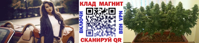 Где купить наркотики Новоульяновск КОКАИН ГАШИШ A PVP Кодеин Марихуана