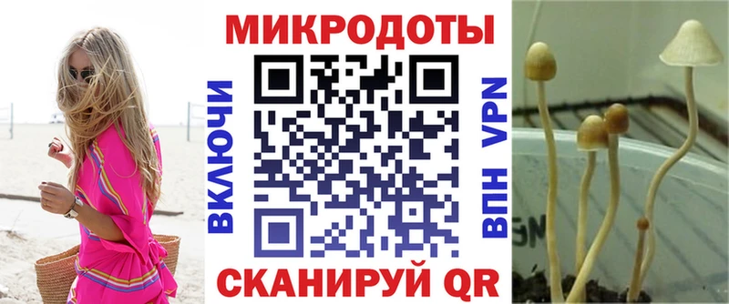 Псилоцибиновые грибы GOLDEN TEACHER  Новоульяновск 